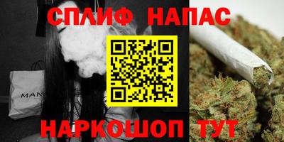индика Нальчик