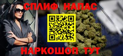 индика Нальчик