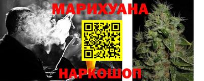 индика Нальчик