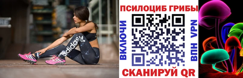 как найти закладки  Обь  Псилоцибиновые грибы Psilocybine cubensis 
