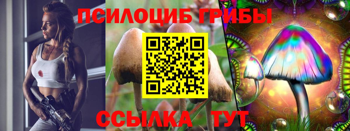 купить  цена  Галлюциногенные грибы Cubensis  Вход с VPN  Обь 