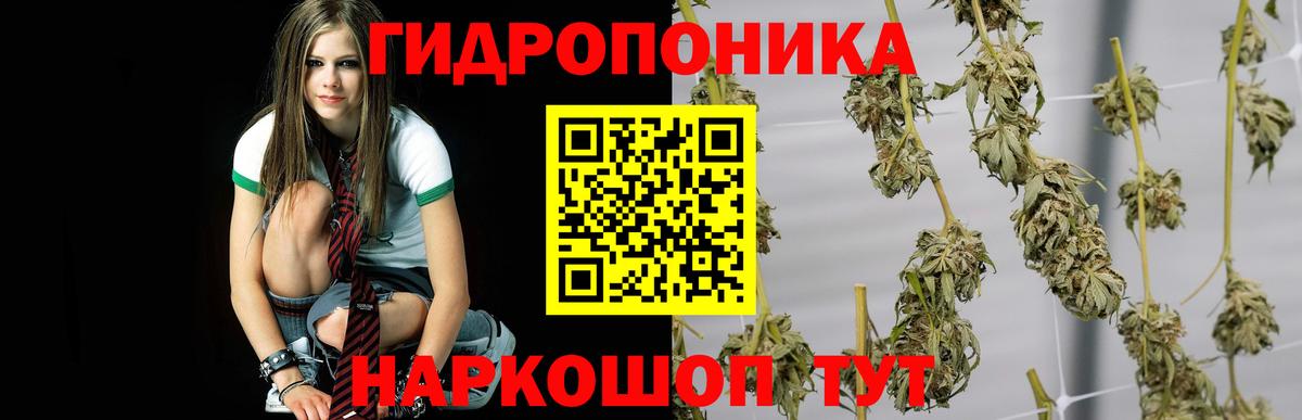 Канабис марихуана  Шишки марихуана сатива  Обь  Каннабис THC 21%  Вход с VPN  Бошки марихуана OG Kush 